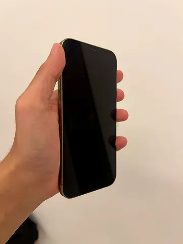 iPhone 12 Pro Max