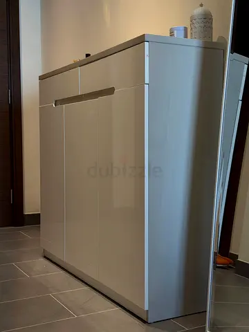 Shoe cabinet