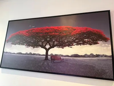Frame