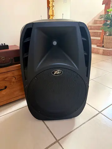 Peavey Powered PA Speaker - like brandnew