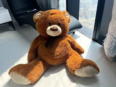 Teddy bear soft toys