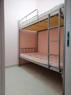 LADISE BEDSPACE  AL BARSHA 1  NEAR INSURANCE MARKET METRO STATION