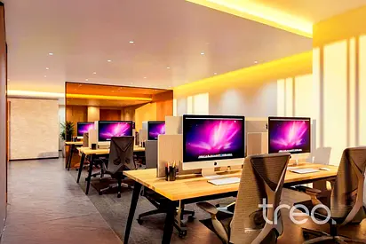 Vacant Now | Bills Included | DMCC License