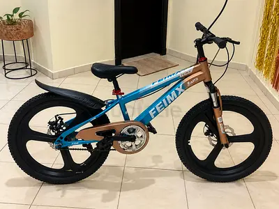 Feimx Mountain Bike