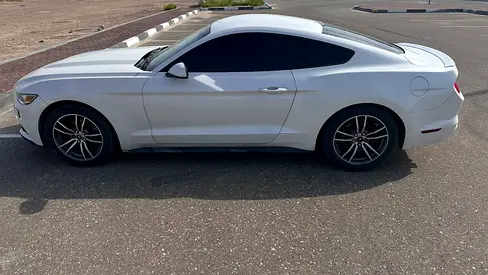 2017 FORD MUSTANG 照片 3