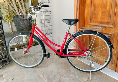 AEGIS Brand 26 inch bike