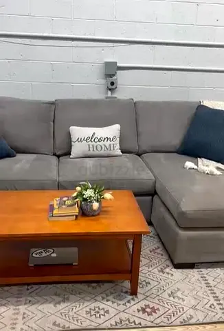Premium Quality Crate&Barrel Axis feather 🪶 filled L Shape Sofa