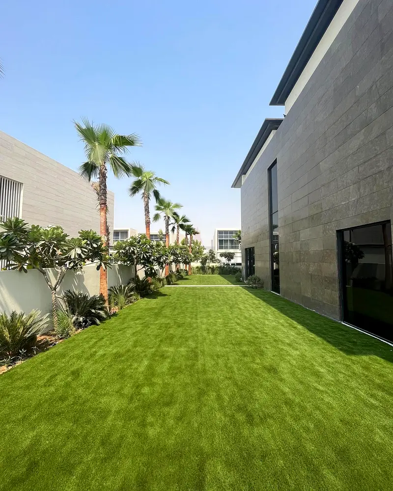 DPV_View_Image_4