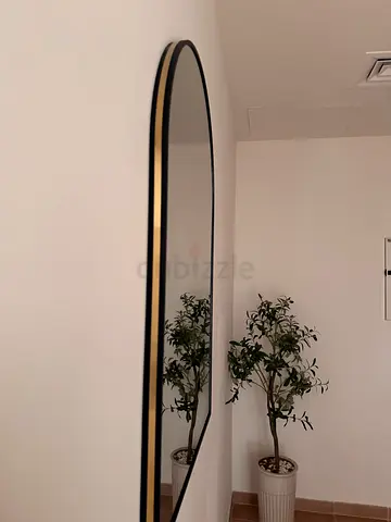 Full-length arched wall mirror with black frame - good condition