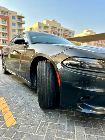 2019 Dodge CHARGER 缩略图 13
