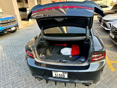 2019 Dodge CHARGER 缩略图 12