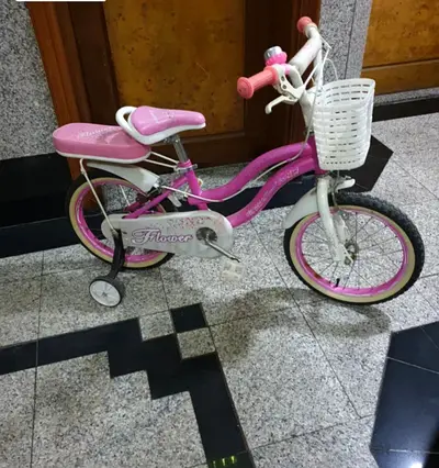 Pink 16 + 18 -inch Kids Bicycle with Training Wheels and Front Basket