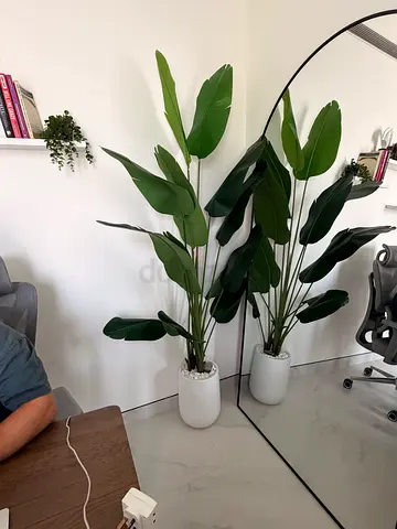 2 large artificial bird of paradise plants + white pots