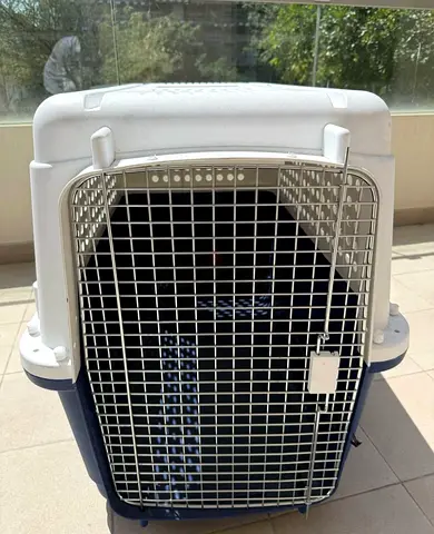 Dogs carriers for air travel