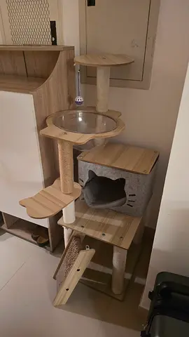 Cat tree