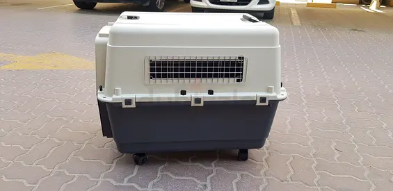 Dogs and cats carriers for air travel