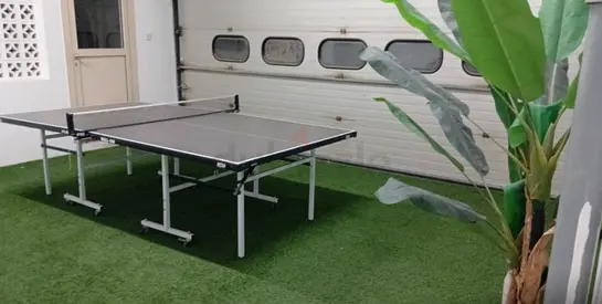 Table tennis