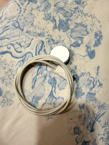 Apple watch charger