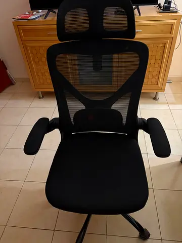 Ergalithic Ergonomic Office Chair For Sale