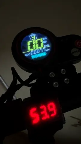 Electric scooter for adults