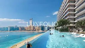 Exclusive | Full Palm View | Multiple Options Available