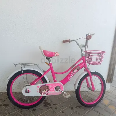 Pink Aster Kids Bicycle with Front Basket 18"