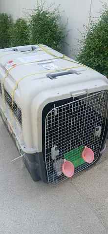 Large Hard-Sided Pet Transport Crate with Feeding Bowls