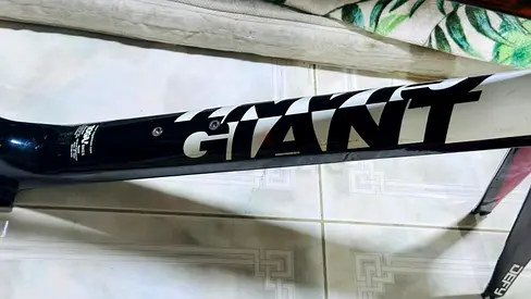 Giant defy.e