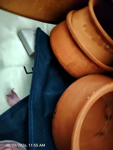 Tajeen dishes
