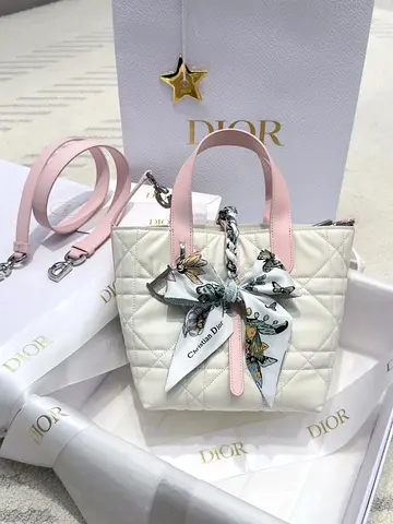 CHRISTIAN DIOR Toujours Women's Bag