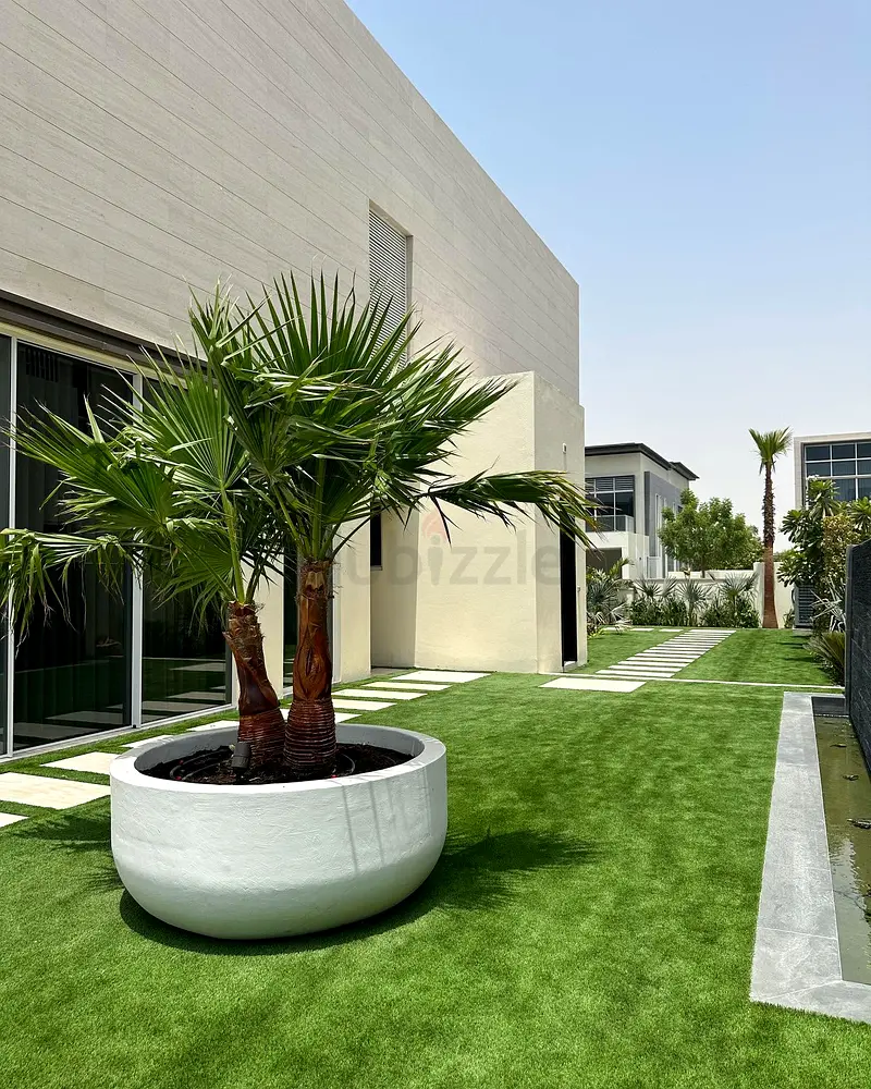 DPV_View_Image_2
