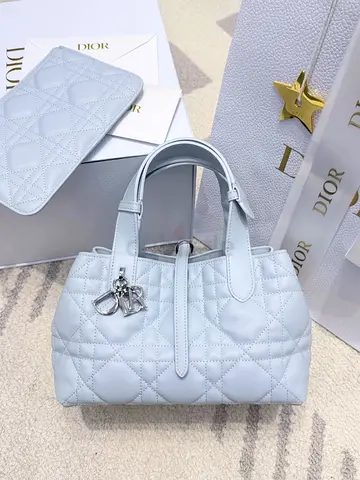 CHRISTIAN DIOR Toujours Women's Clutch Bag