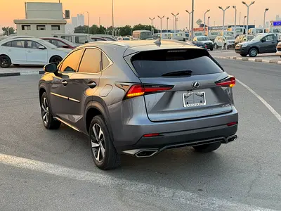 2020 Lexus NX-SERIES — фото 6