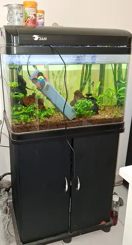 Complete 2ft Aquarium with Cabinet, Hood, Internal Filter and Plants - Ready to Move