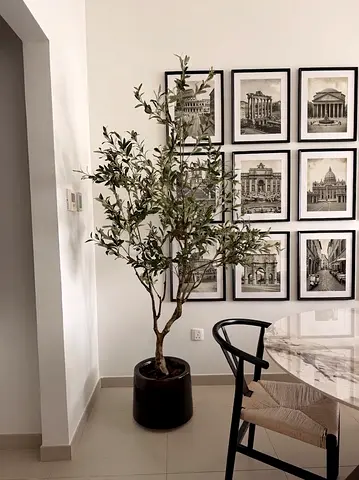 2.7m-  Italian Artificial Olive Tree