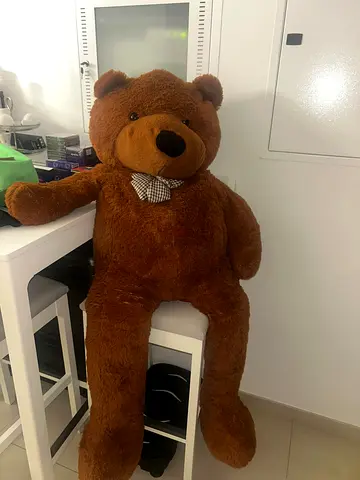 Large brown plush teddy bear — soft, good condition