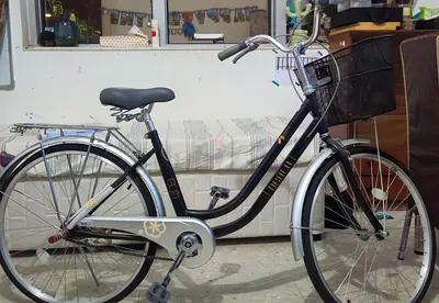 Cycle