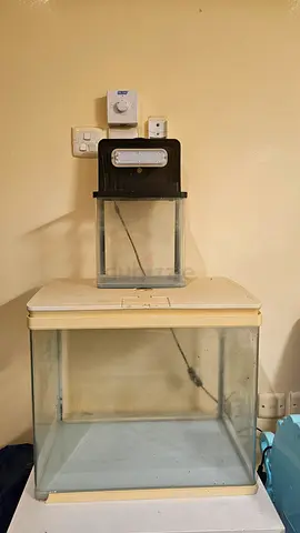 Glass aquarium tank with mini tank - good condition