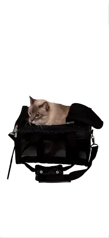 Sherpa Original Deluxe Airline Approved Pet Carrier – Small