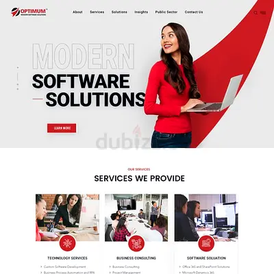 Website developer