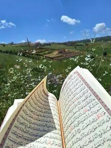 Holy Quran classes available with perfact online female Qaria for everyone affordable fees
