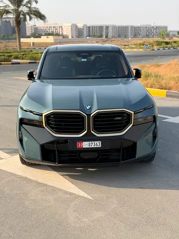 2024 BMW XM photo 2