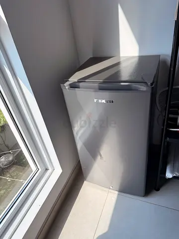Mini Refrigerator Fridge