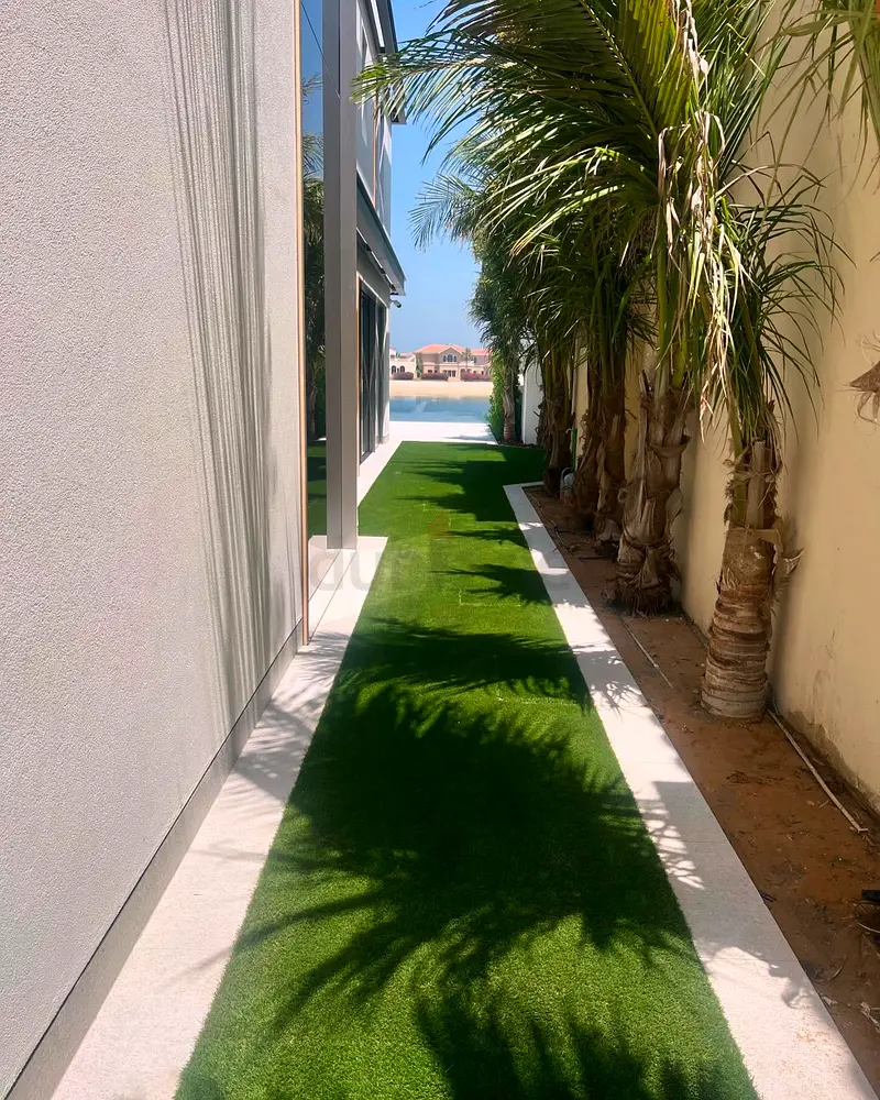 DPV_View_Image_2