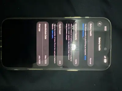 iPhone with 100% Maximum Battery Capacity — Good Condition