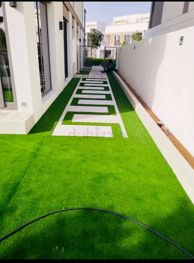 DPV_View_Image_3