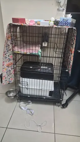 Used medium metal cat crate with tray, bed and litter box