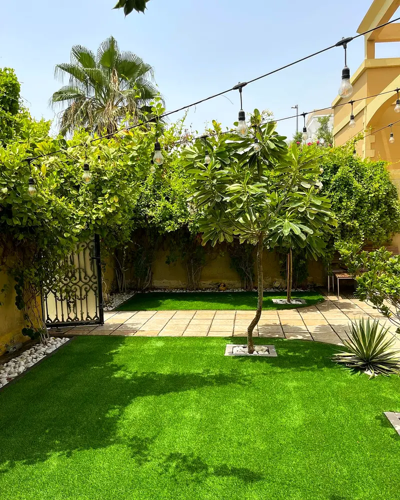DPV_View_Image_5