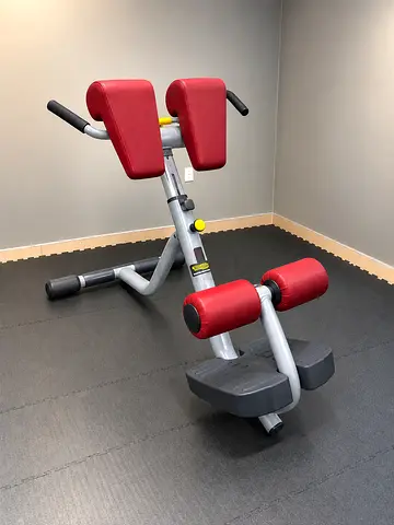 Technogym back extension