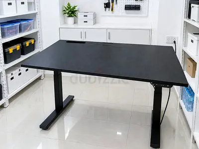 Adjustable Electric Standing Desk - Black, Spacious Top